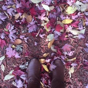 Meet your Posher, Meray